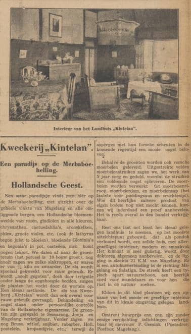 Kleurenfoto. Groot artikel in een krant, met als kop Kwekerij Kintelan, een paradijs op de Merbaboehelling. Boven het artikel is een foto van een zitkamer te zien. In de zitkamer staan meerdere stoelen, tafels en kasten. Aan het plafond hangt een lamp en aan de muur een fotolijst.